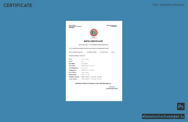 Paraguay Geburtsurkunde – Beispielansicht (Word und PDF)